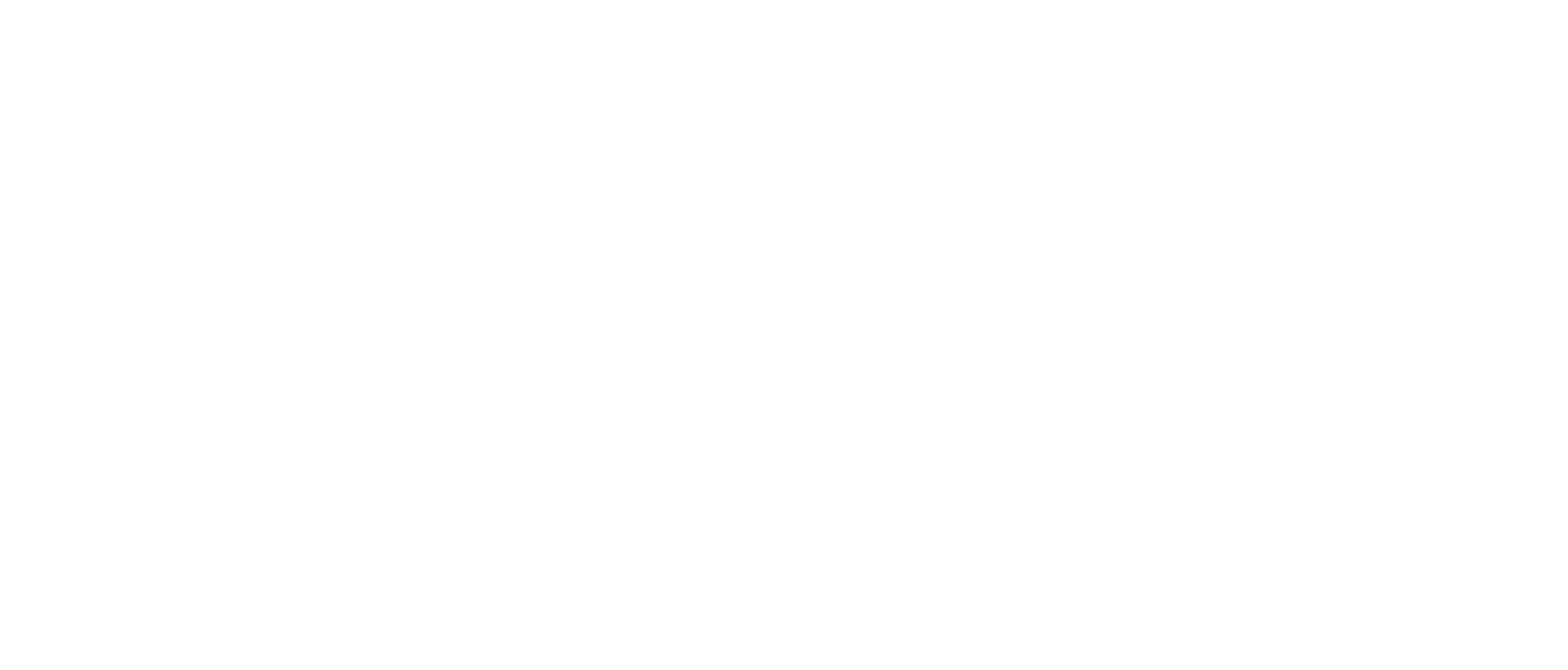 Sandra Burnett - The Spirit Horse Photography